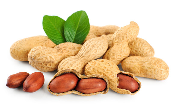 Groundnuts