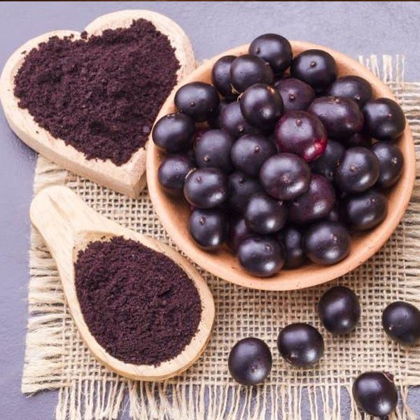 Jamun Powder
