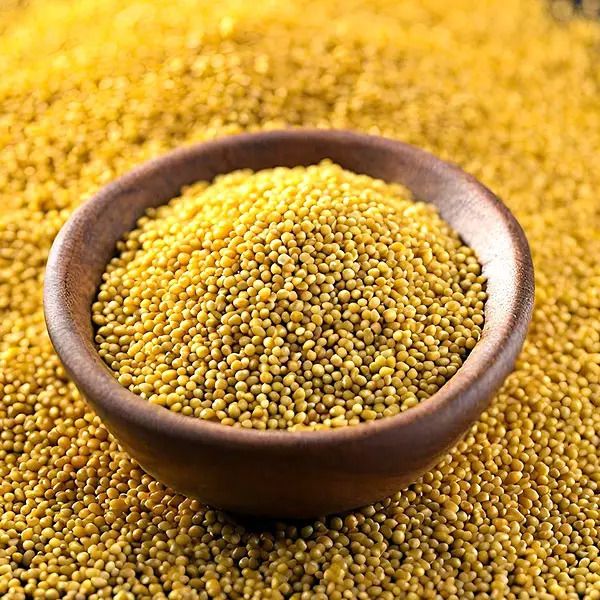 Mustard Seeds